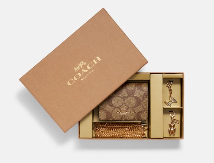 Coach Boxed Mini Wallet On A Chain In Blocked Signature Canvas