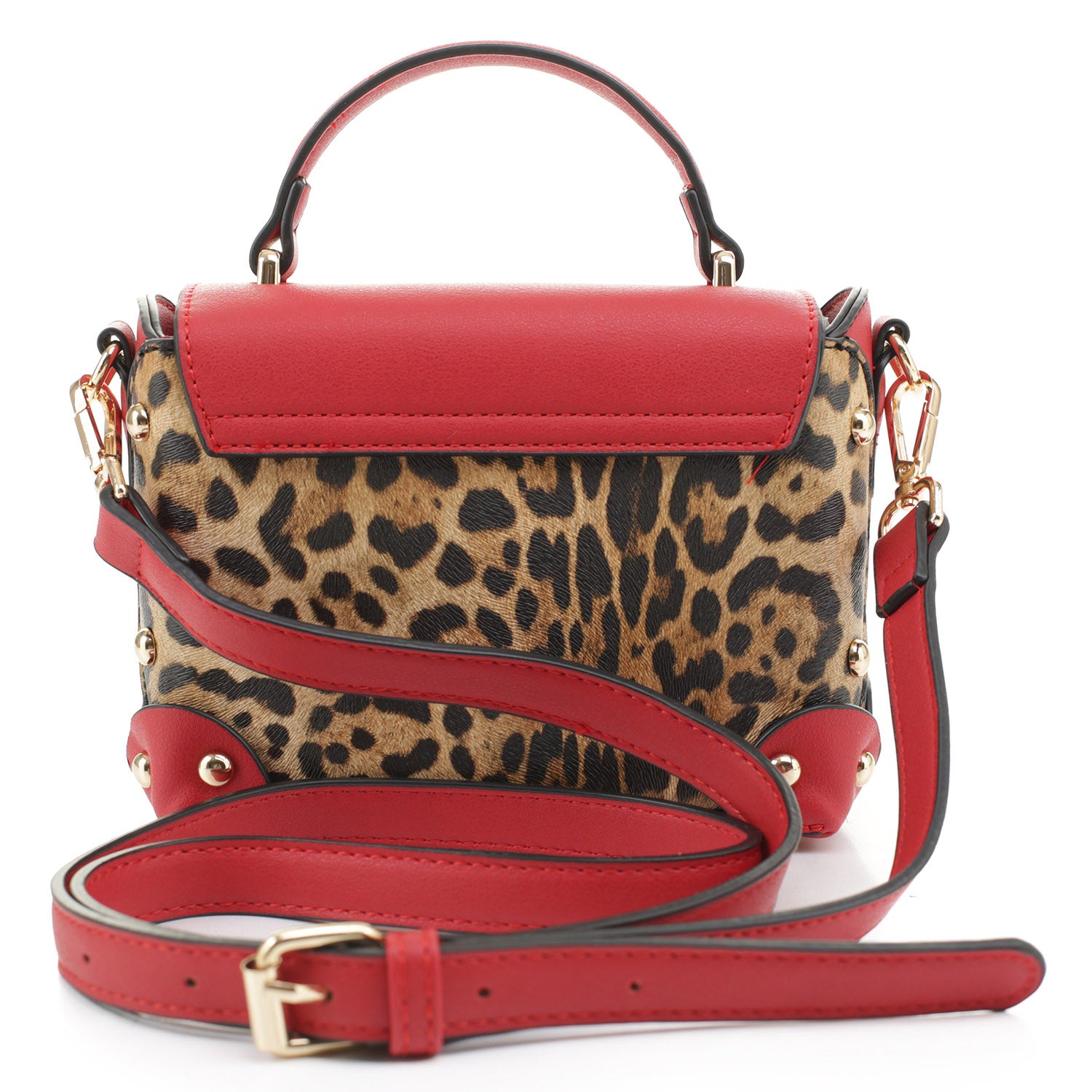 Leo Colorblock Crossbody Bag Satchel